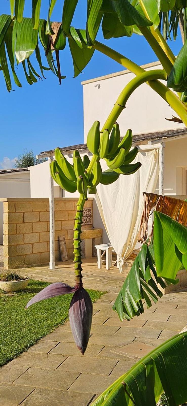 Tenuta Puloni โอตรันโต ภายนอก รูปภาพ